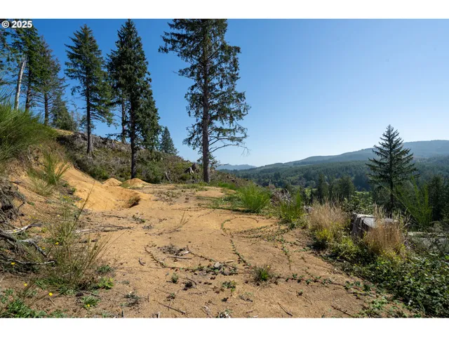 a view of a yard with a tree