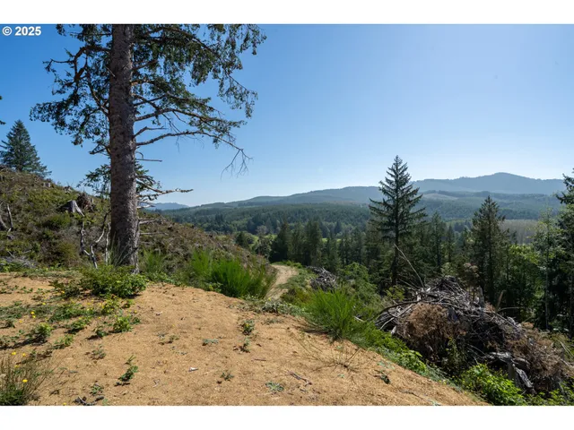 a view of a yard with a tree