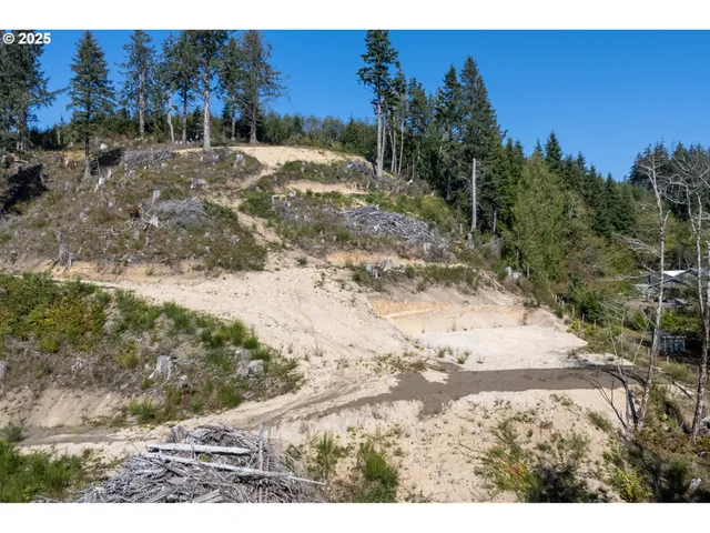 a view of dirt yard with a tree