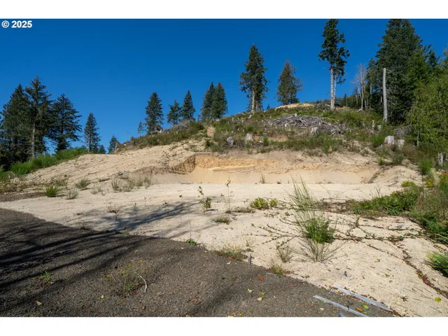 a view of a beach with a mountain