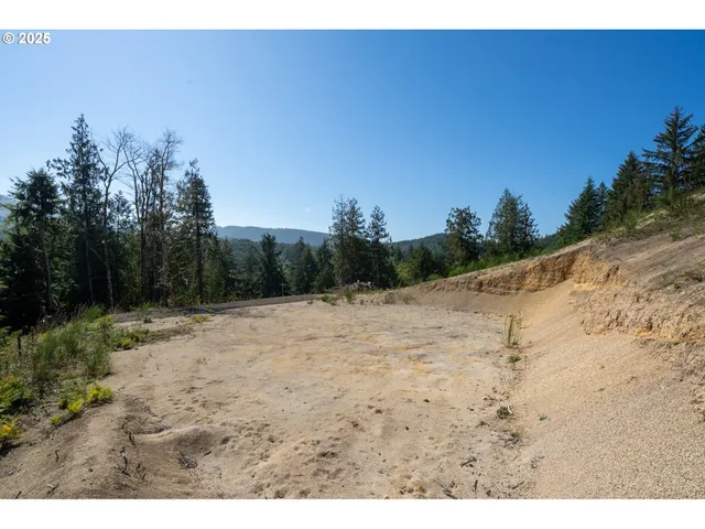 a view of a dry yard with trees in the background