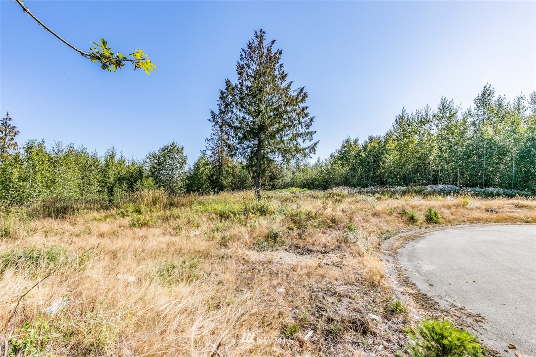 9999 Grand Ridge Way, Unit LOT 8 Port Angeles, WA 98362 - Photo 8 of 12 Gallery Image 8