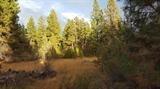 0 South Packsaddle Circle South Beatty, OR 97621 - Photo 12 of 22 Additional Photo