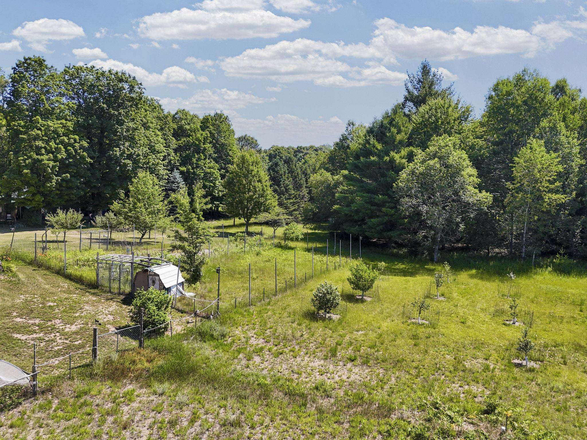12549 Puffer Road Southwest Fife Lake, MI 49633 - Photo 55 of 67 1947814-cb69efae-121c-4dbf-9213-9d37d038dfdd.JPG
