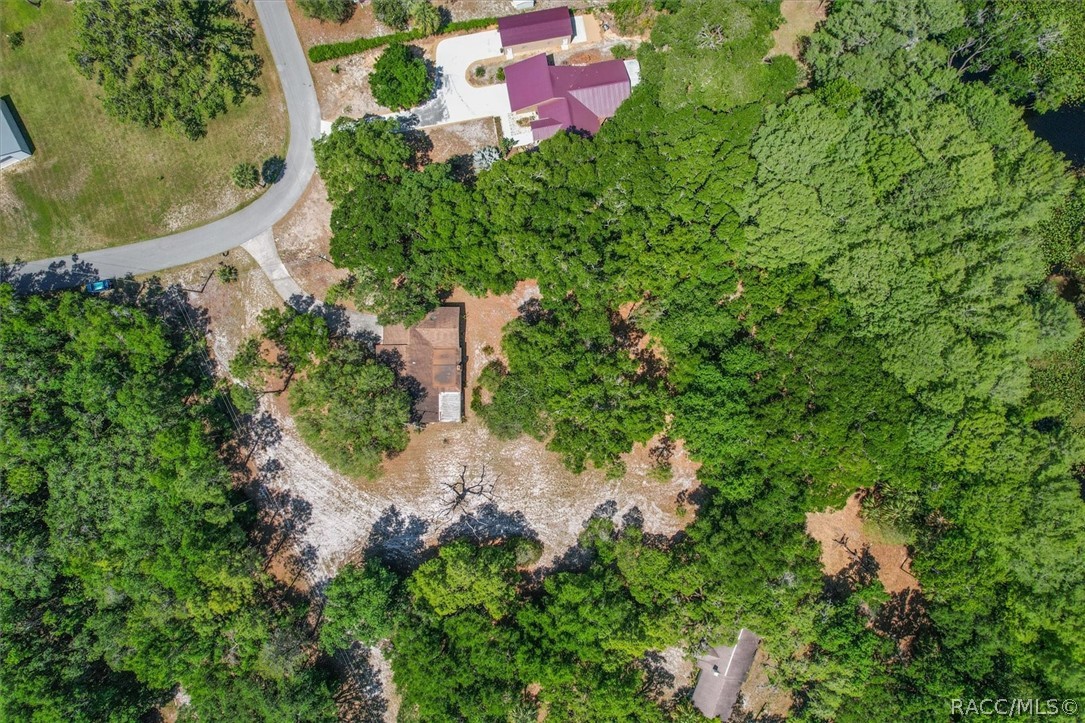 1255 South Estate Point Inverness, FL 34450 - Photo 50 of 84
