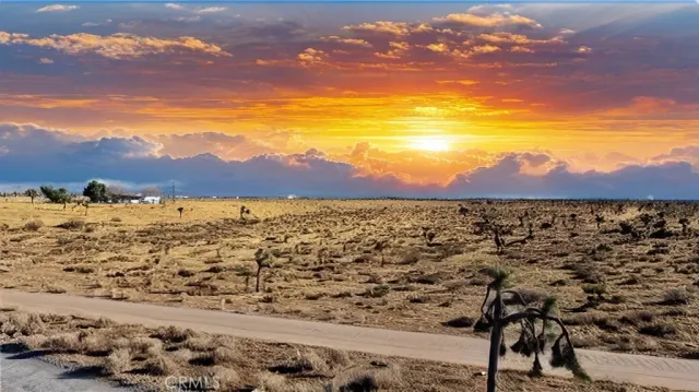 a view of city and ocean