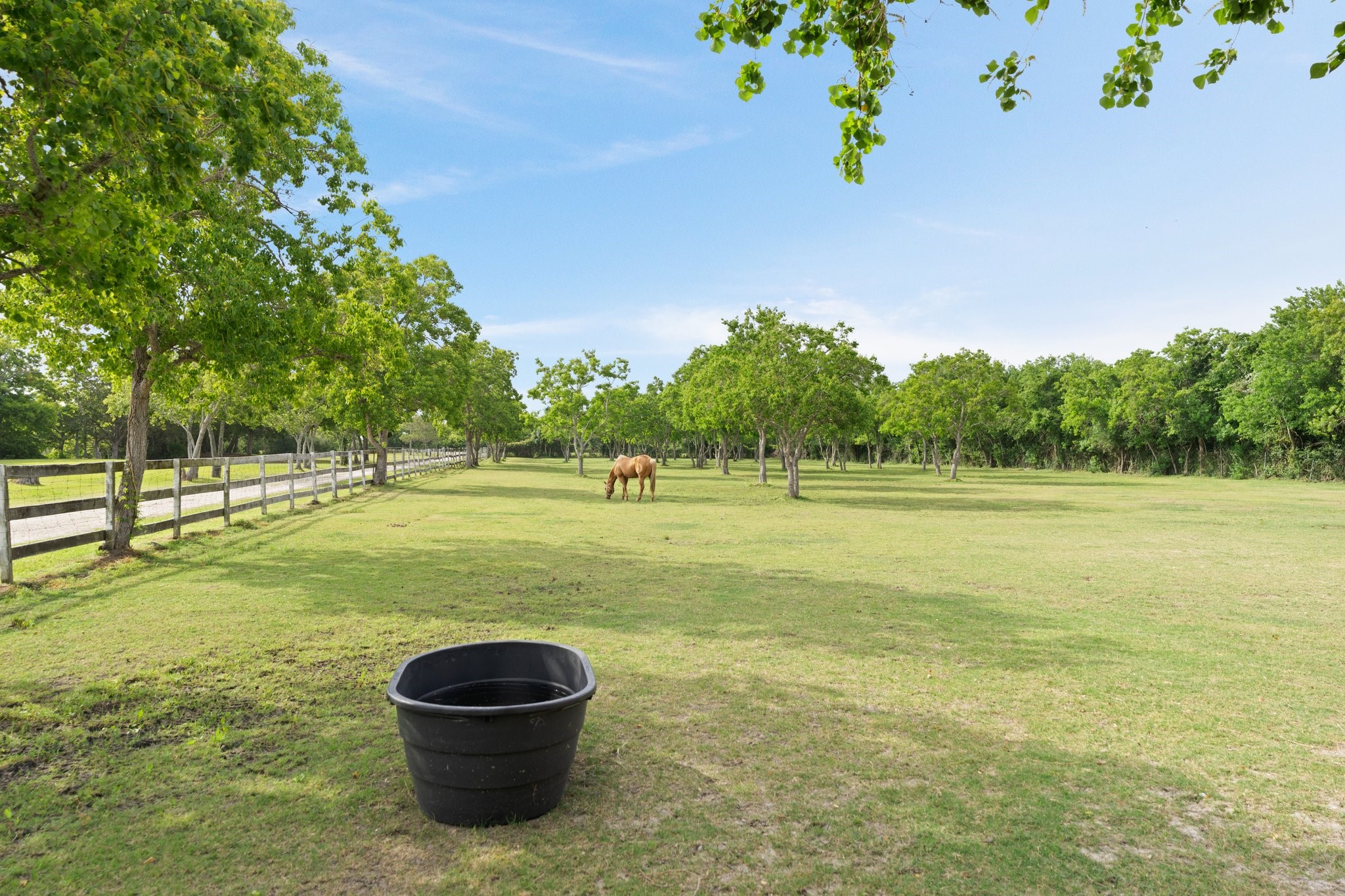 8226 Fm 2354 Beach Baytown, TX 77523 - Photo 8 of 39 Expansive, cross-fenced pastures stretch across the property, ideal for grazing horses with plenty of room to roam.