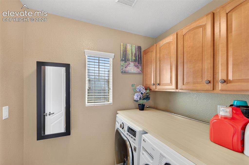 10648 Ashfield Street Highlands Ranch, CO 80126 - Photo 33 of 49