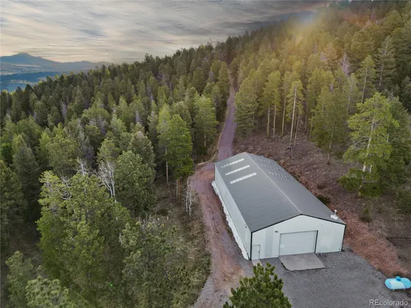 a view of a forest with a house