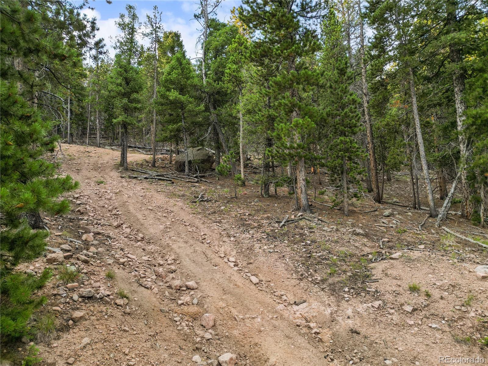 26273 Richmond Hill Road Conifer, CO 80433 - Photo 12 of 47 a view of a forest with trees in the background