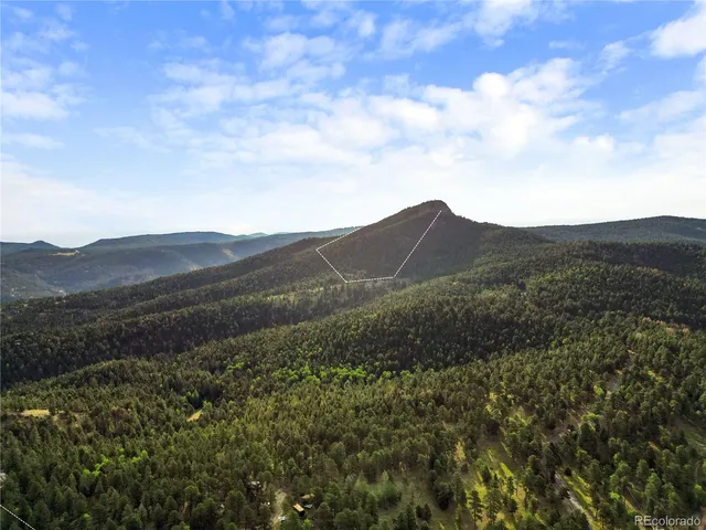 a view of a large tree with a mountain in the background