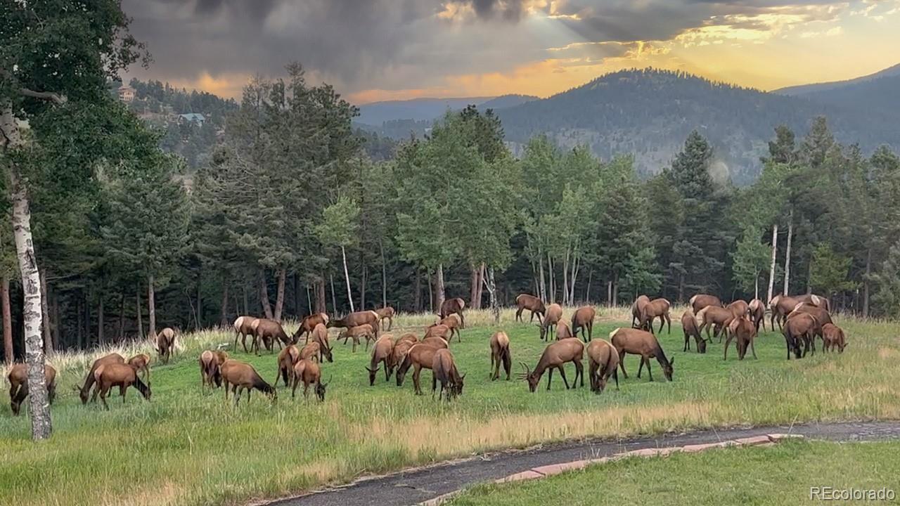 26273 Richmond Hill Road Conifer, CO 80433 - Photo 14 of 47