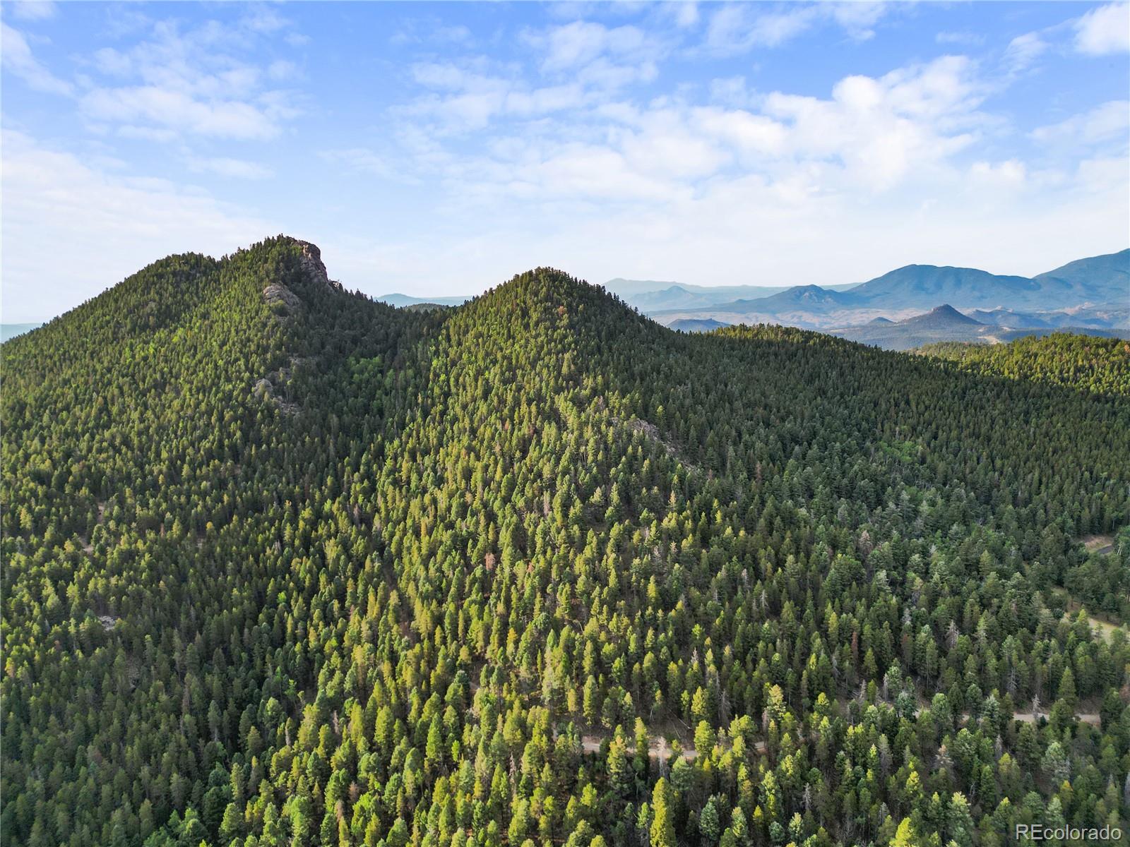 26273 Richmond Hill Road Conifer, CO 80433 - Photo 17 of 47 a view of a large tree with a mountain in the background