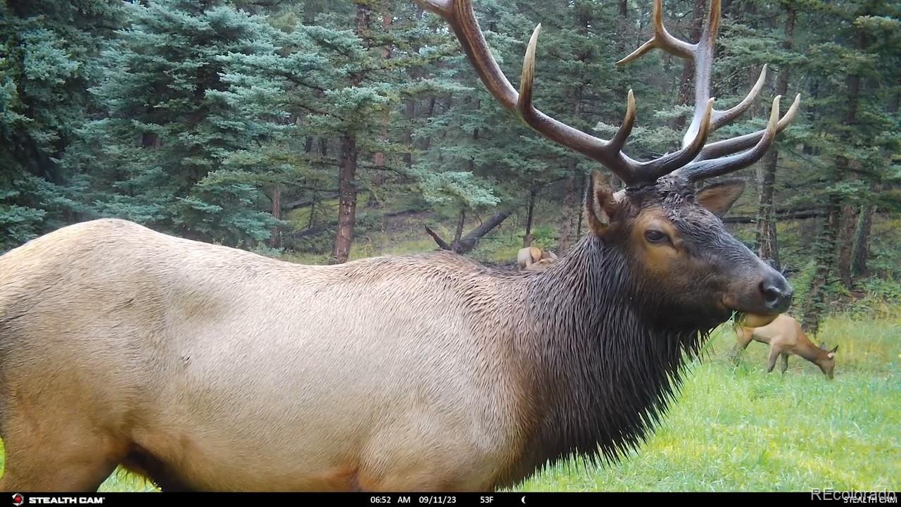 26273 Richmond Hill Road Conifer, CO 80433 - Photo 20 of 47