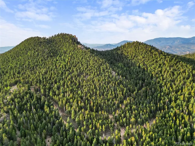 a view of a bunch of trees
