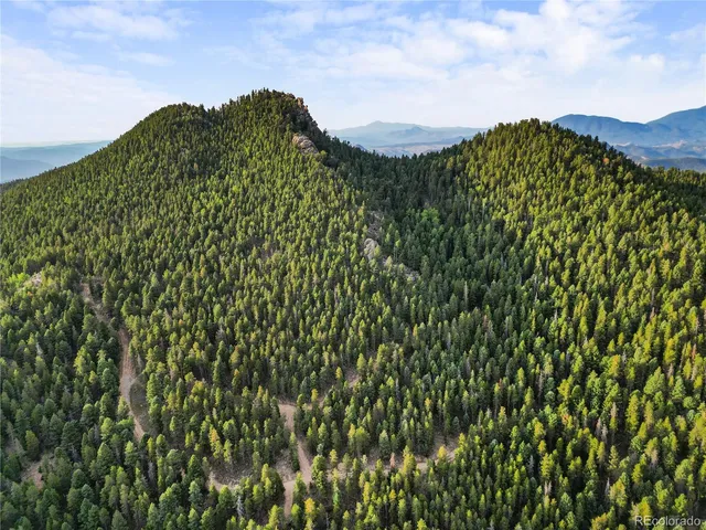 a view of a backyard with trees