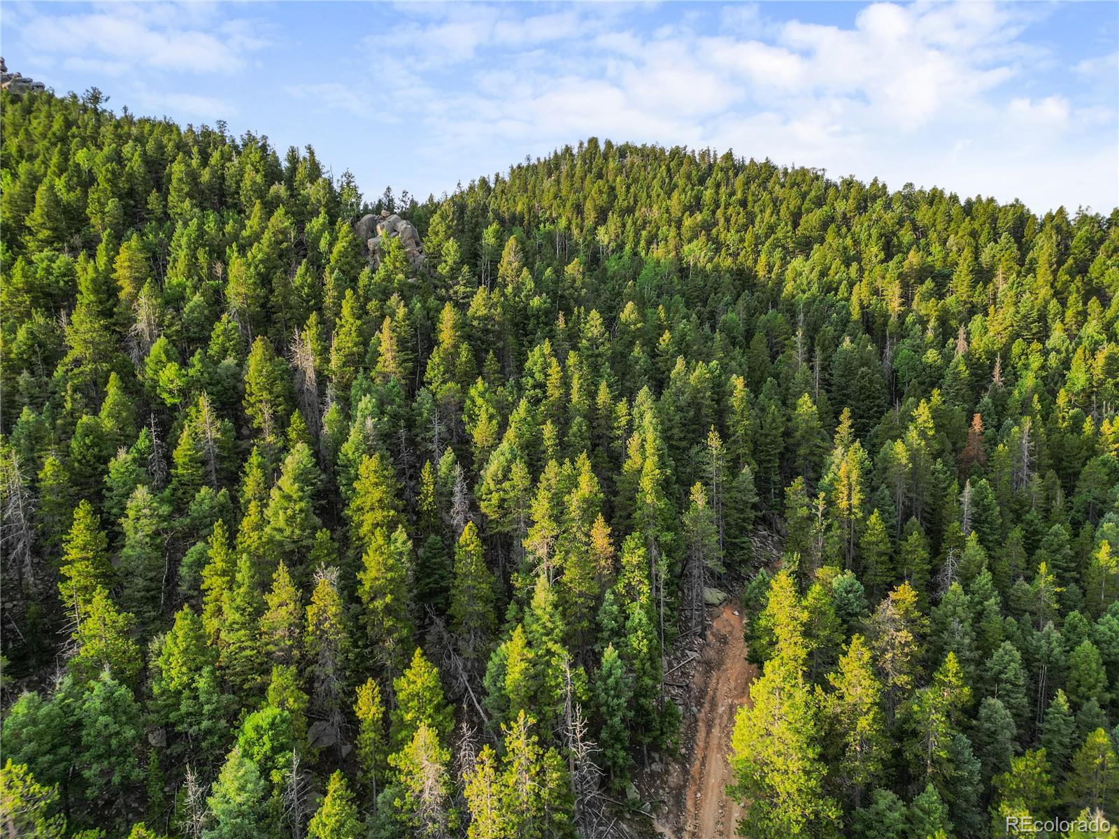 26273 Richmond Hill Road Conifer, CO 80433 - Photo 28 of 47 a view of a garden