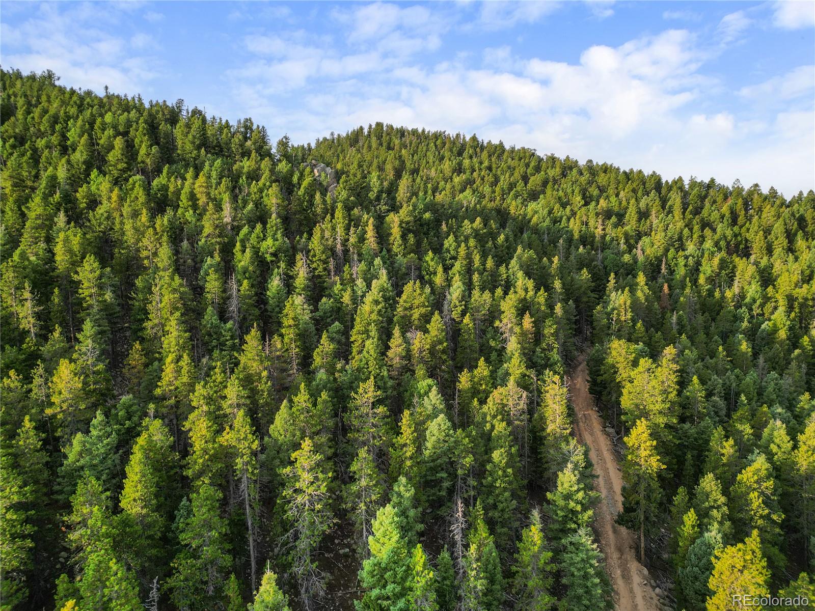 26273 Richmond Hill Road Conifer, CO 80433 - Photo 29 of 47