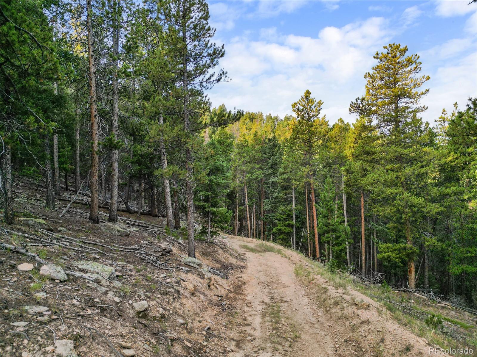 26273 Richmond Hill Road Conifer, CO 80433 - Photo 30 of 47 a view of a backyard with trees