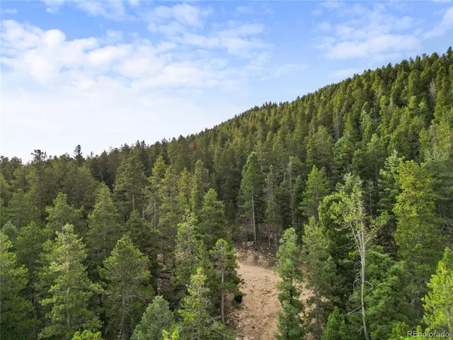 a view of a mountain range with lush green forest