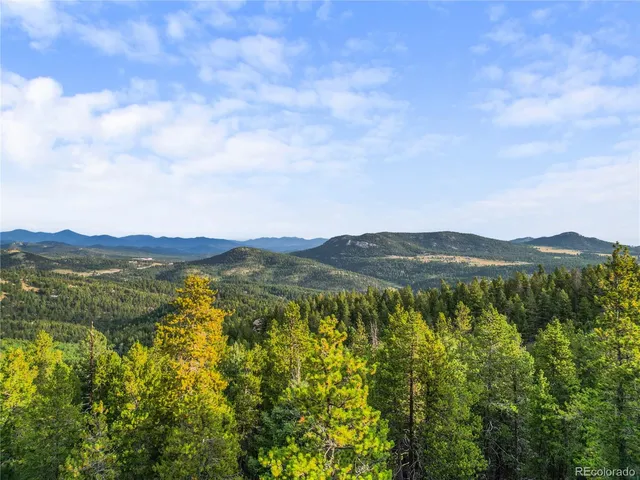a view of a lush green forest with mountains in the background