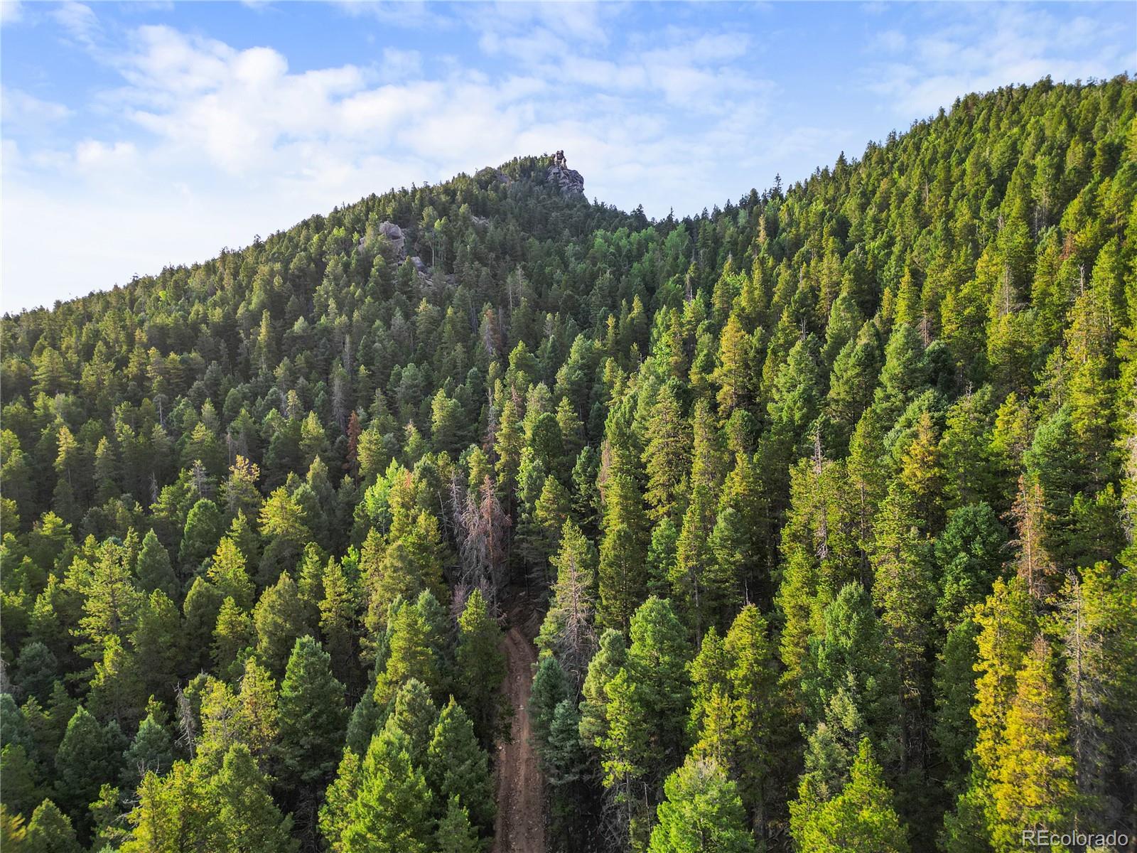 26273 Richmond Hill Road Conifer, CO 80433 - Photo 36 of 47