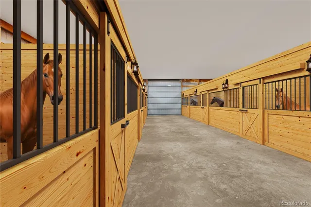 a view of a forest with trees in the background