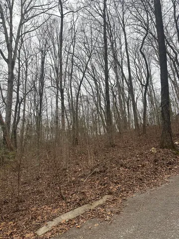 $19,900 | 0 Shady Oaks Cove, Unit 12, Dunlap, TN 37327