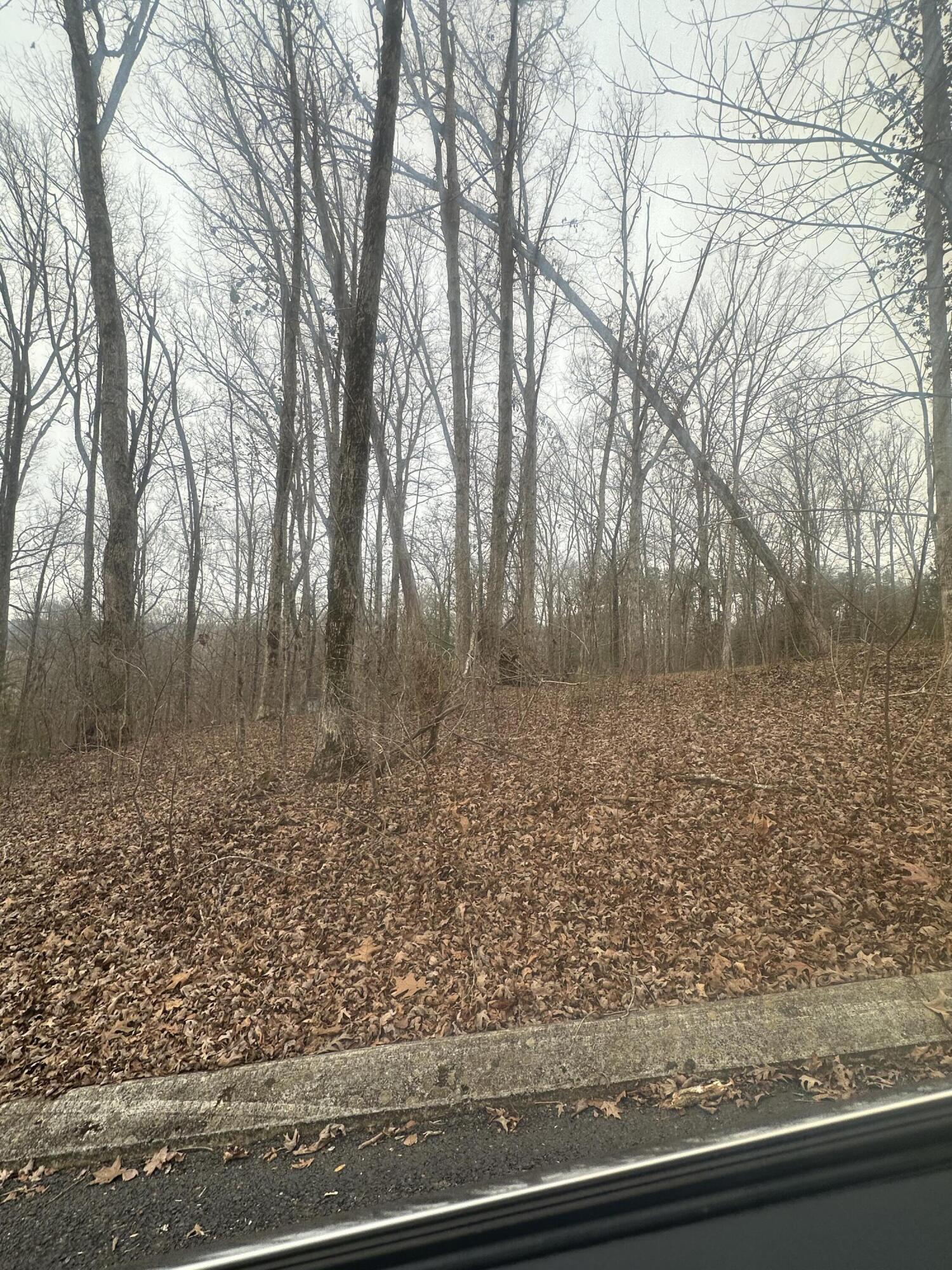 0 Shady Oaks Cove, Unit 12 Dunlap, TN 37327 - Photo 2 of 2 IMG_3813