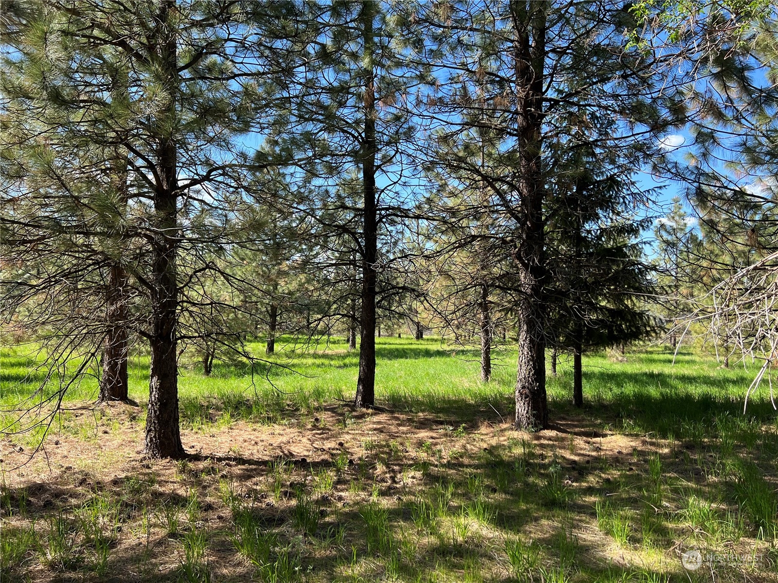 6531 Camp Naborlee Road Fruitland, WA 99129 - Photo 11 of 13 Gallery Image 11