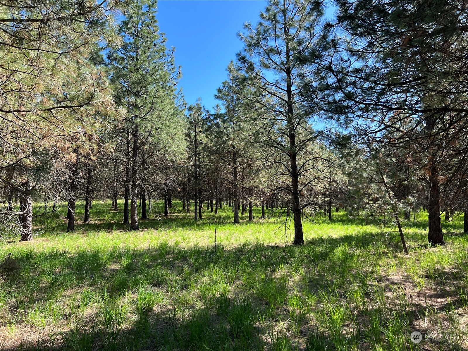 6531 Camp Naborlee Road Fruitland, WA 99129 - Photo 12 of 13 Gallery Image 12