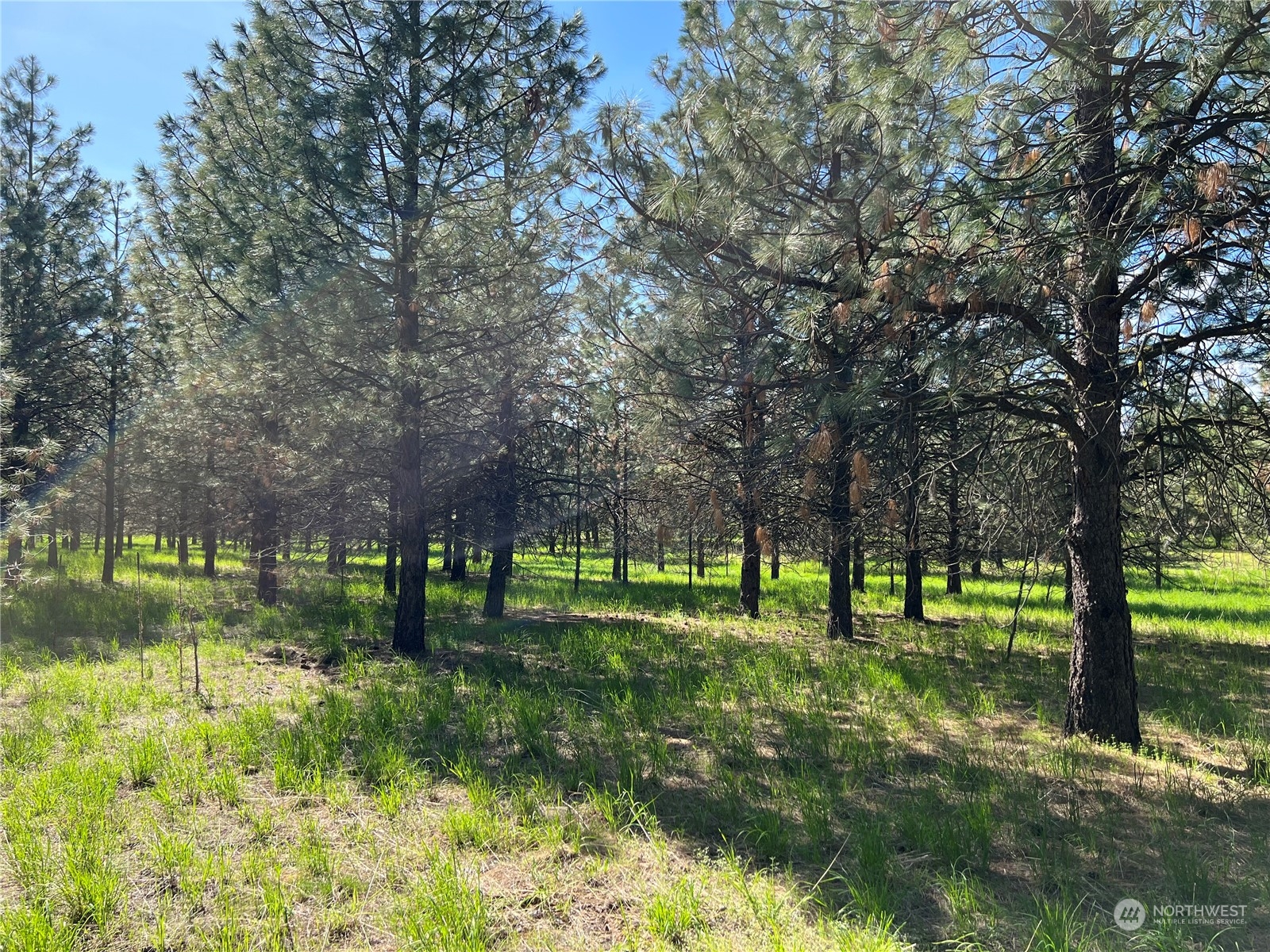 6531 Camp Naborlee Road Fruitland, WA 99129 - Photo 13 of 13 Gallery Image 13