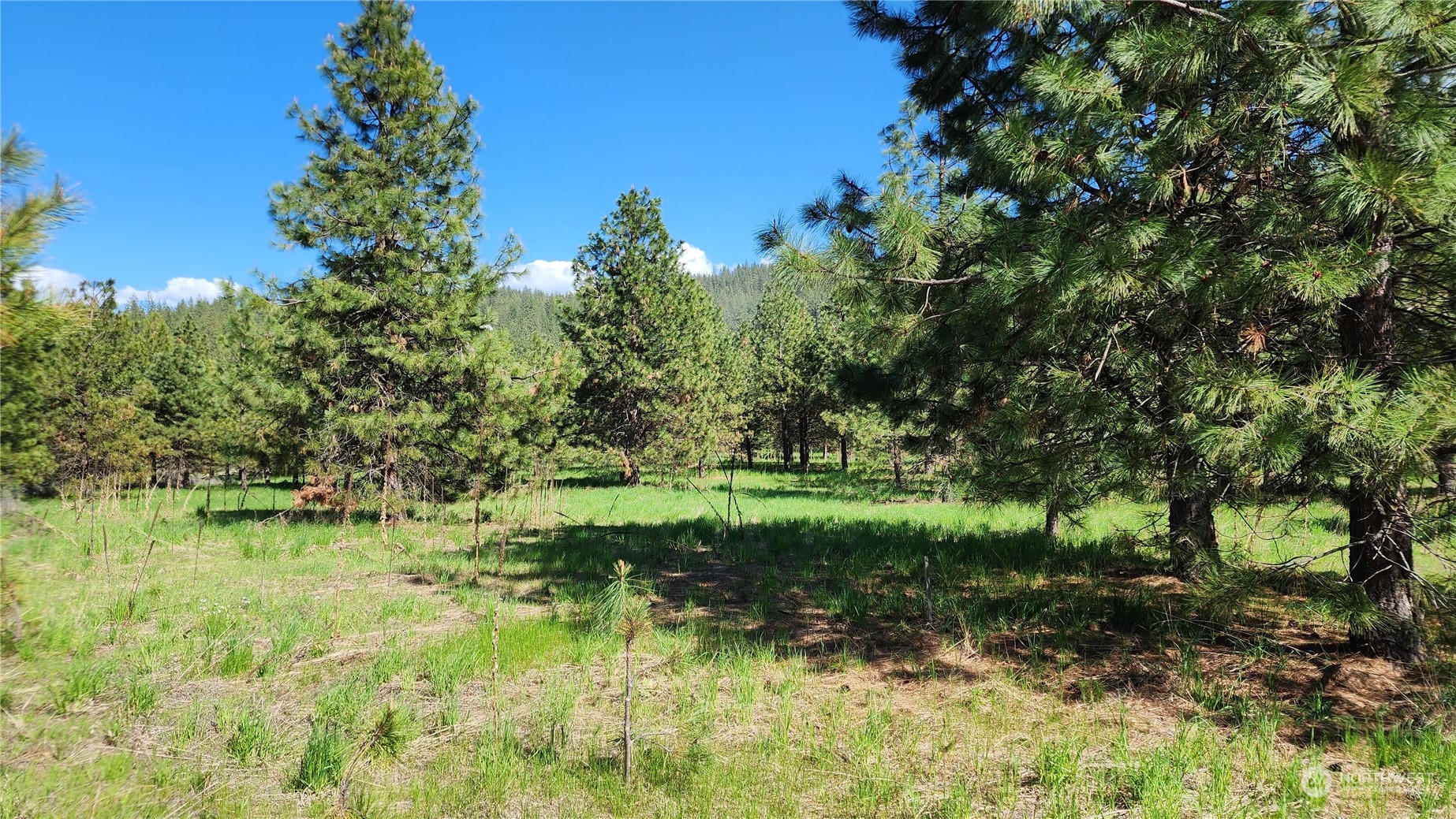 6531 Camp Naborlee Road Fruitland, WA 99129 - Photo 4 of 13 Gallery Image 4