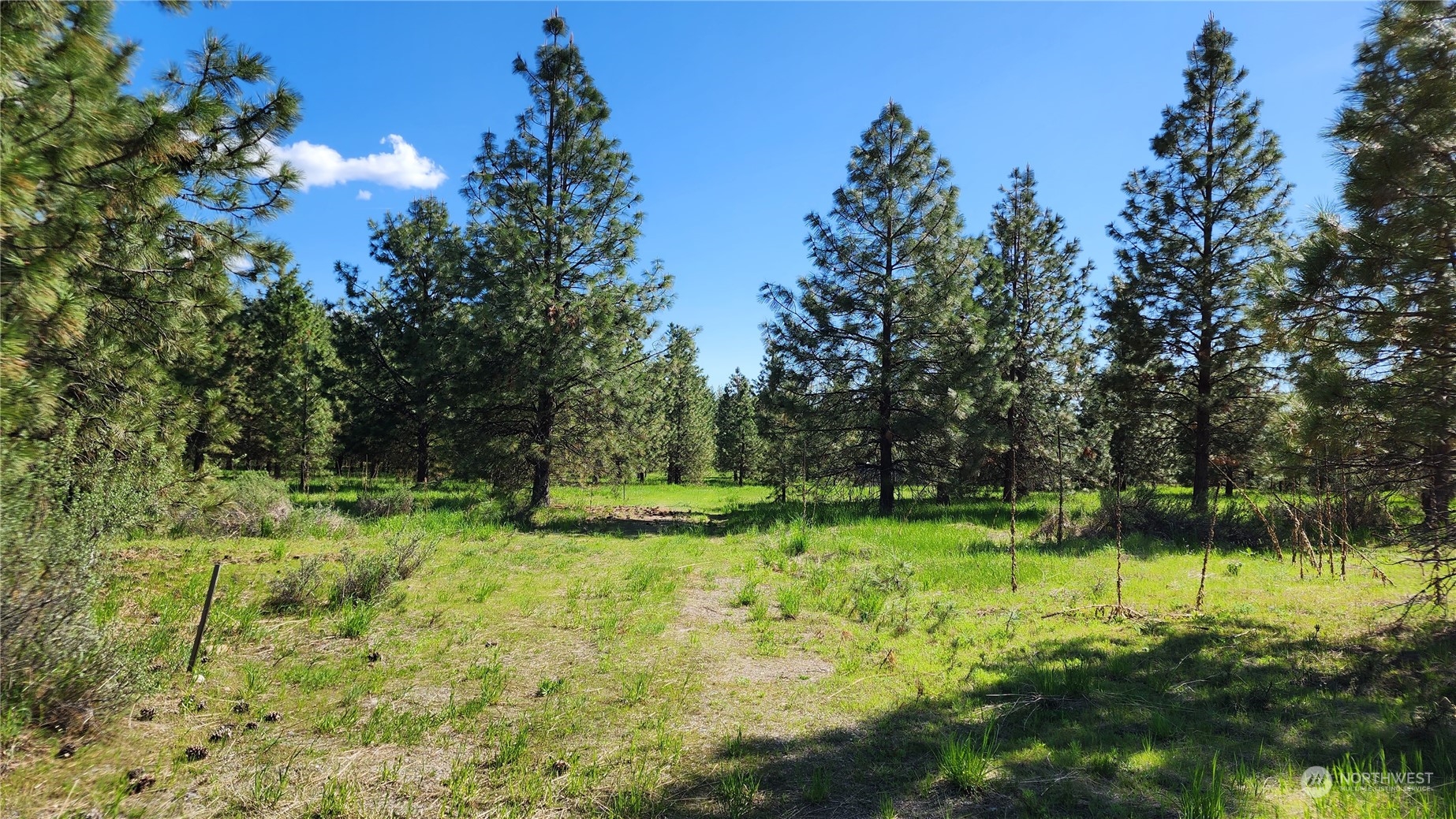 6531 Camp Naborlee Road Fruitland, WA 99129 - Photo 5 of 13 Gallery Image 5