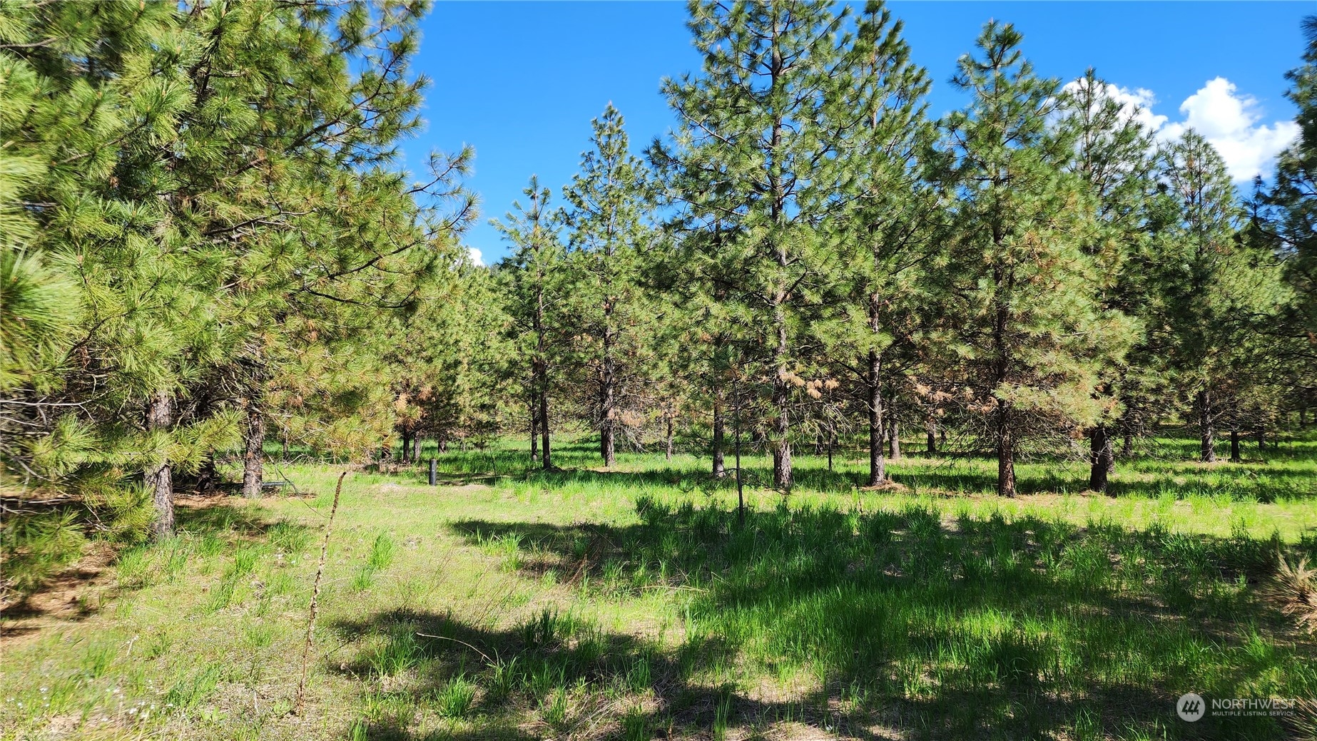 6531 Camp Naborlee Road Fruitland, WA 99129 - Photo 7 of 13 Gallery Image 7
