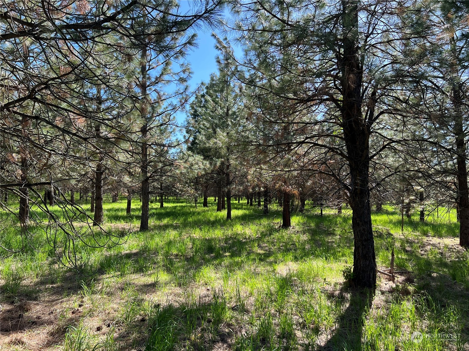 6531 Camp Naborlee Road Fruitland, WA 99129 - Photo 10 of 13 Gallery Image 10