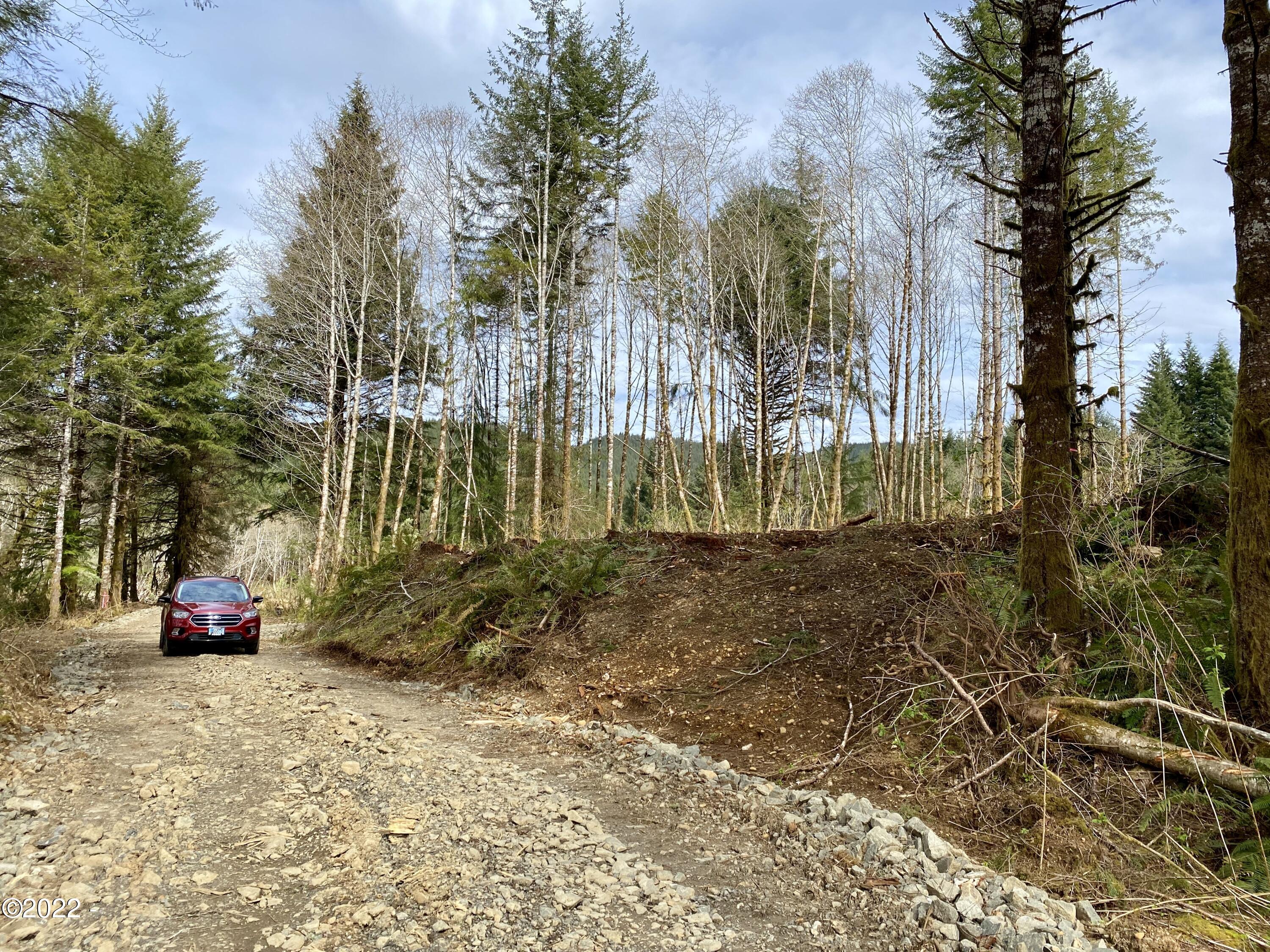Tl700-900 Huhtala Road Siletz, OR 97380 - Photo 1 of 13 TC Land