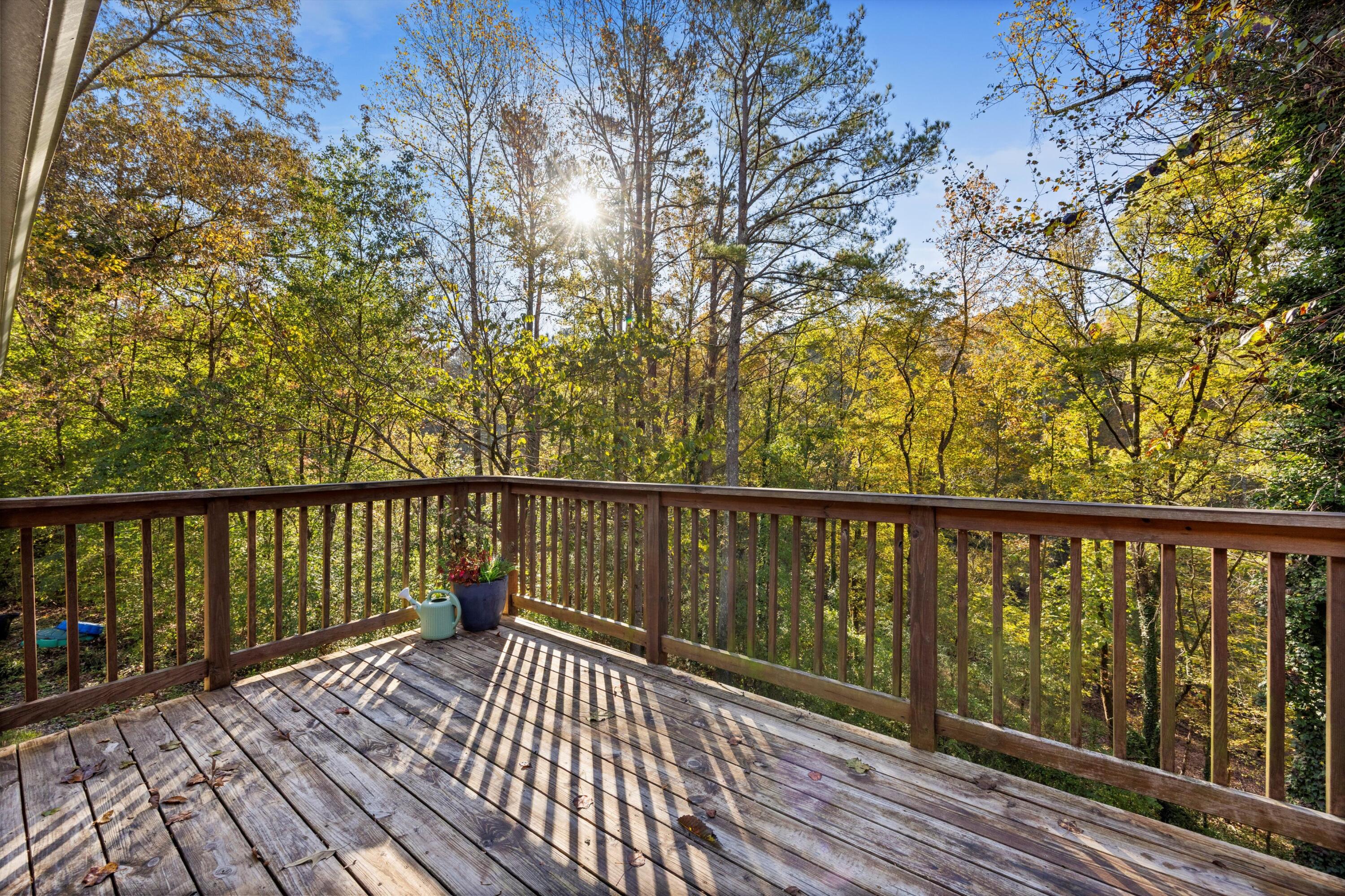 184 Cinderella Drive Flintstone, GA 30725 - Photo 27 of 32 31-090A0816