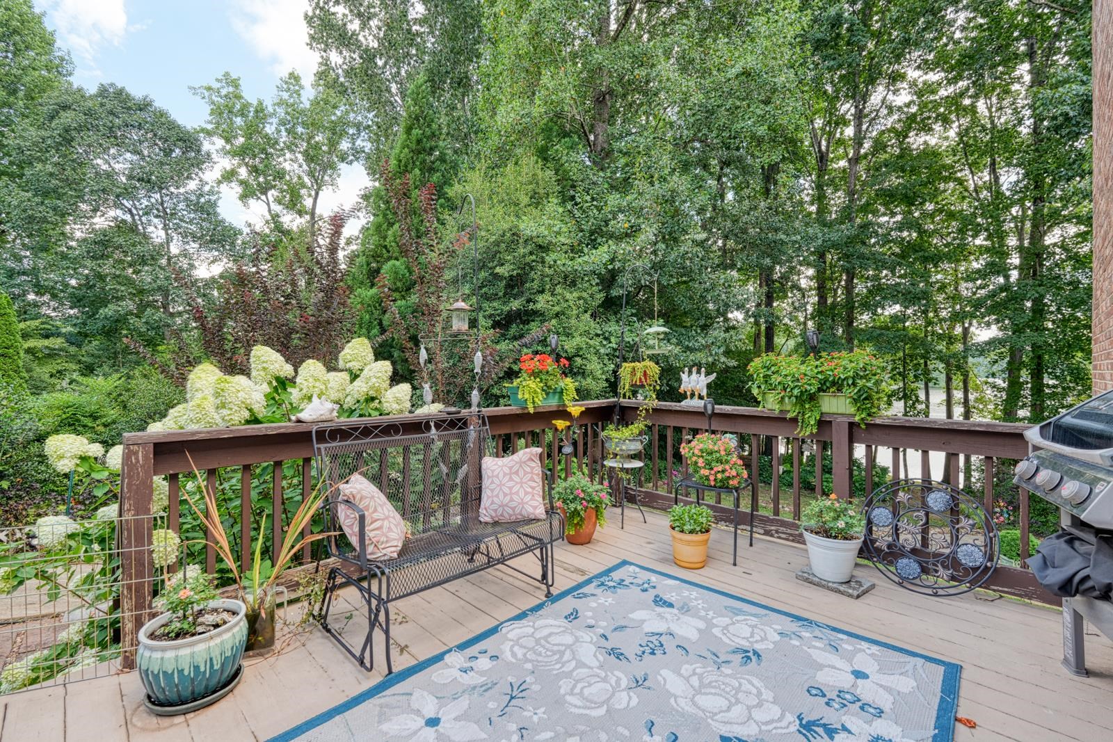 335 Hillcove Point Wellford, SC 29385 - Photo 36 of 50