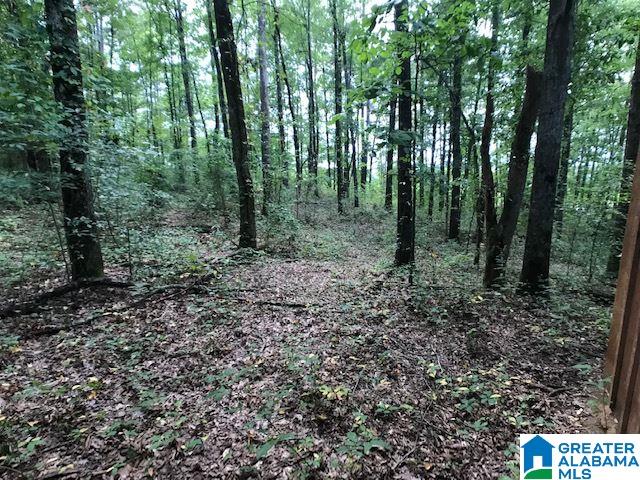 18388 Highway 411 Springville, AL 35146 - Photo 37 of 42