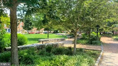 a view of a park with large trees