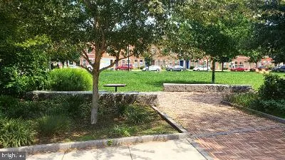 a view of a garden with large trees
