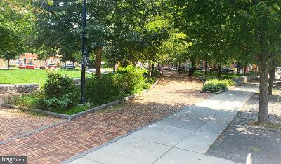 1228 Catharine Street Philadelphia, PA 19147 - Photo 32 of 32 a view of a garden with large trees