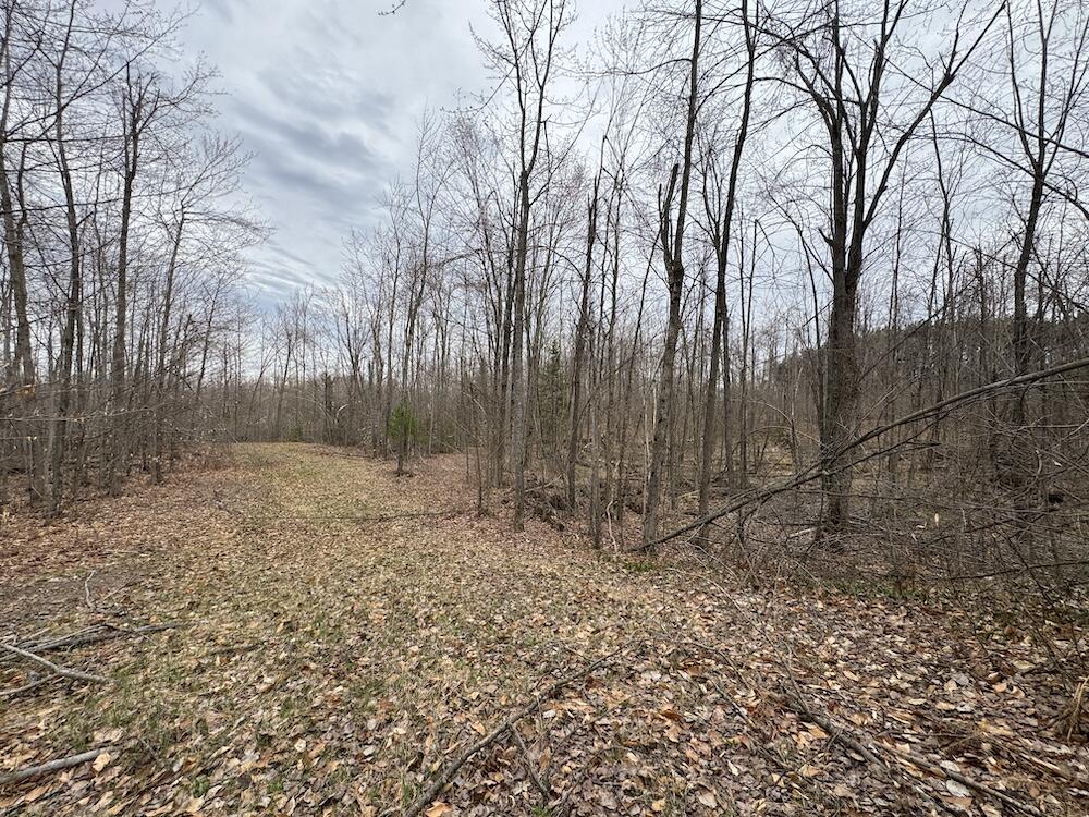 1734 North Galbraith Road Mio, MI 48647 - Photo 68 of 120 IMG_1909