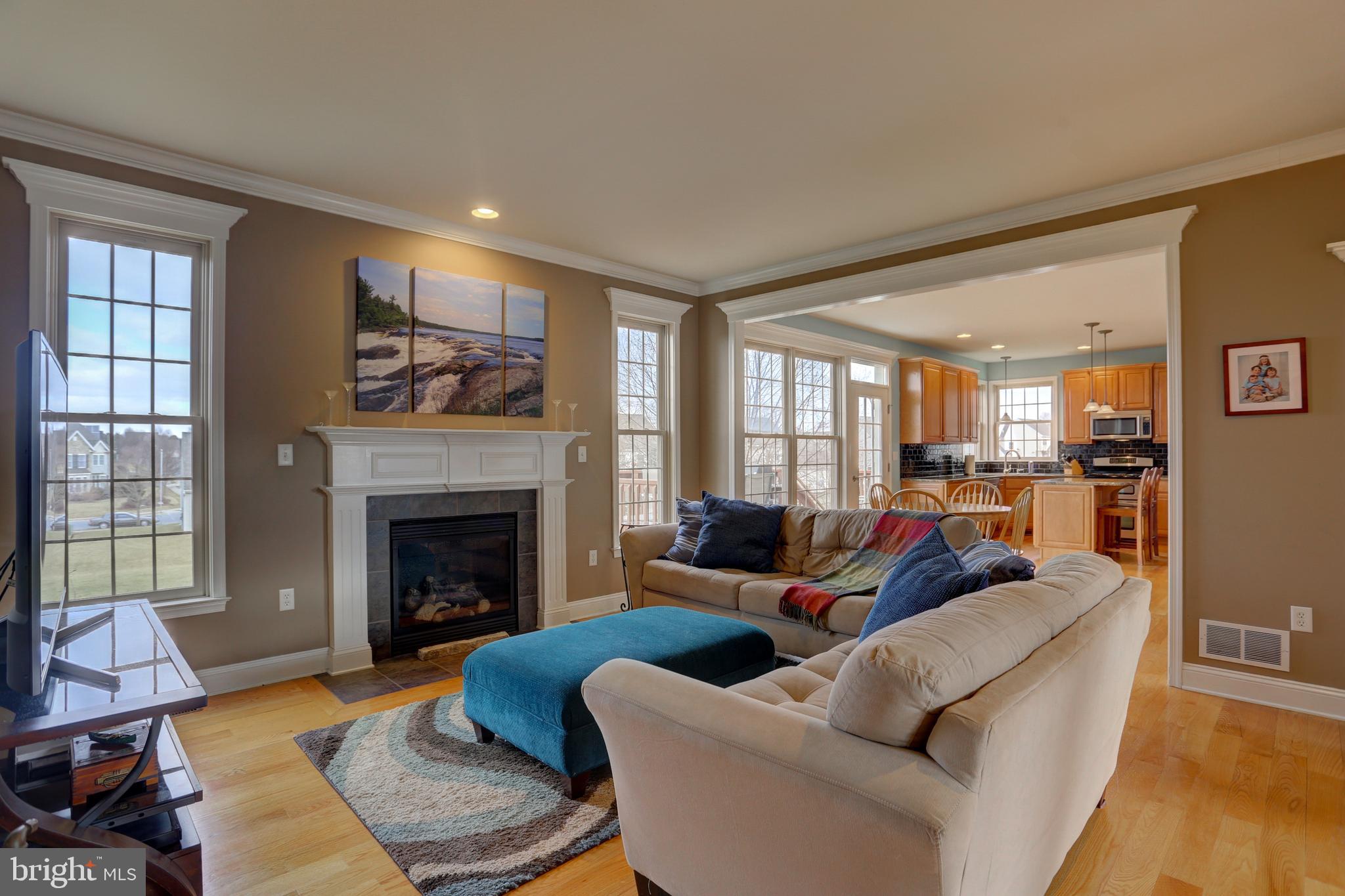 307 Bowyer Lane Lititz, PA 17543 - Photo 18 of 39 Family Room