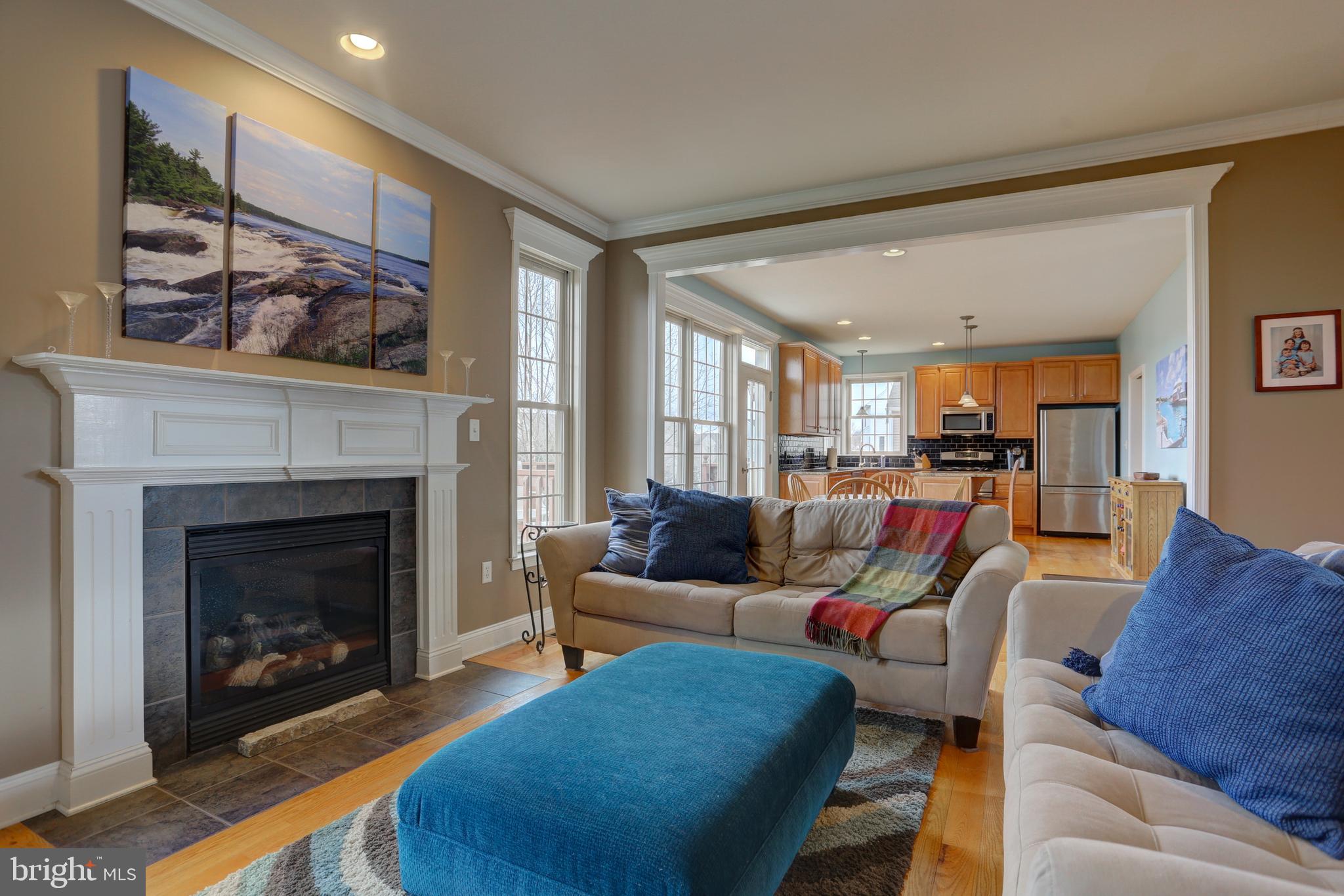 307 Bowyer Lane Lititz, PA 17543 - Photo 19 of 39 Family Room