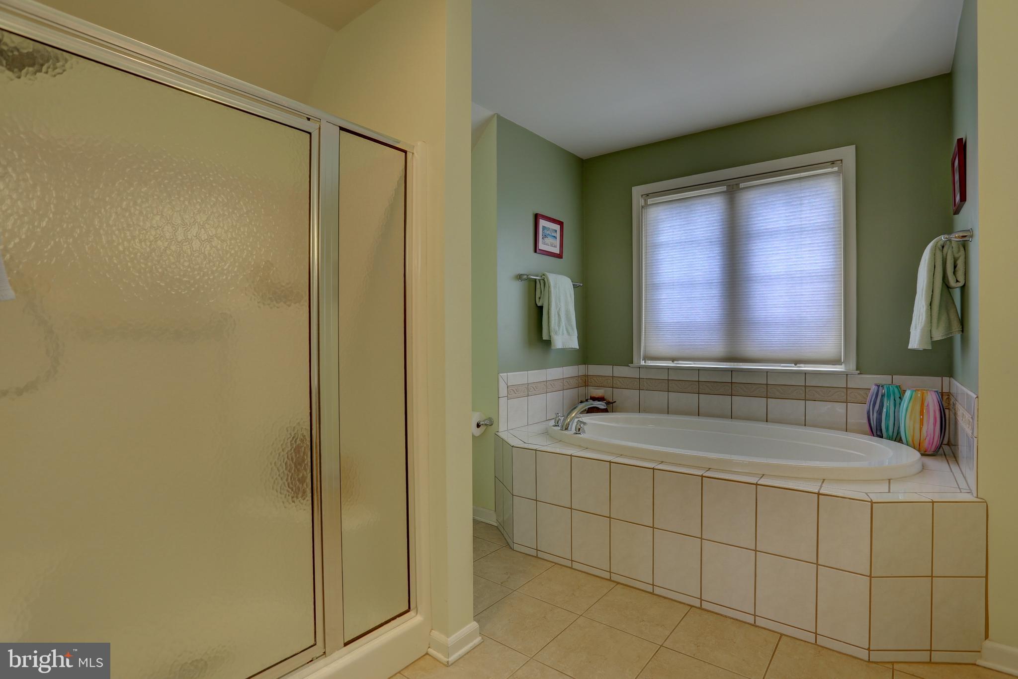 307 Bowyer Lane Lititz, PA 17543 - Photo 23 of 39 Master Bathrooom