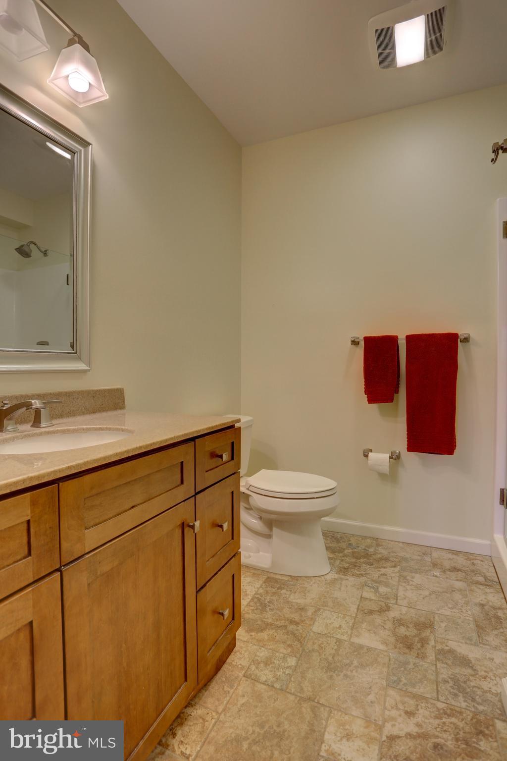 307 Bowyer Lane Lititz, PA 17543 - Photo 37 of 39 LL Full Bathroom #3