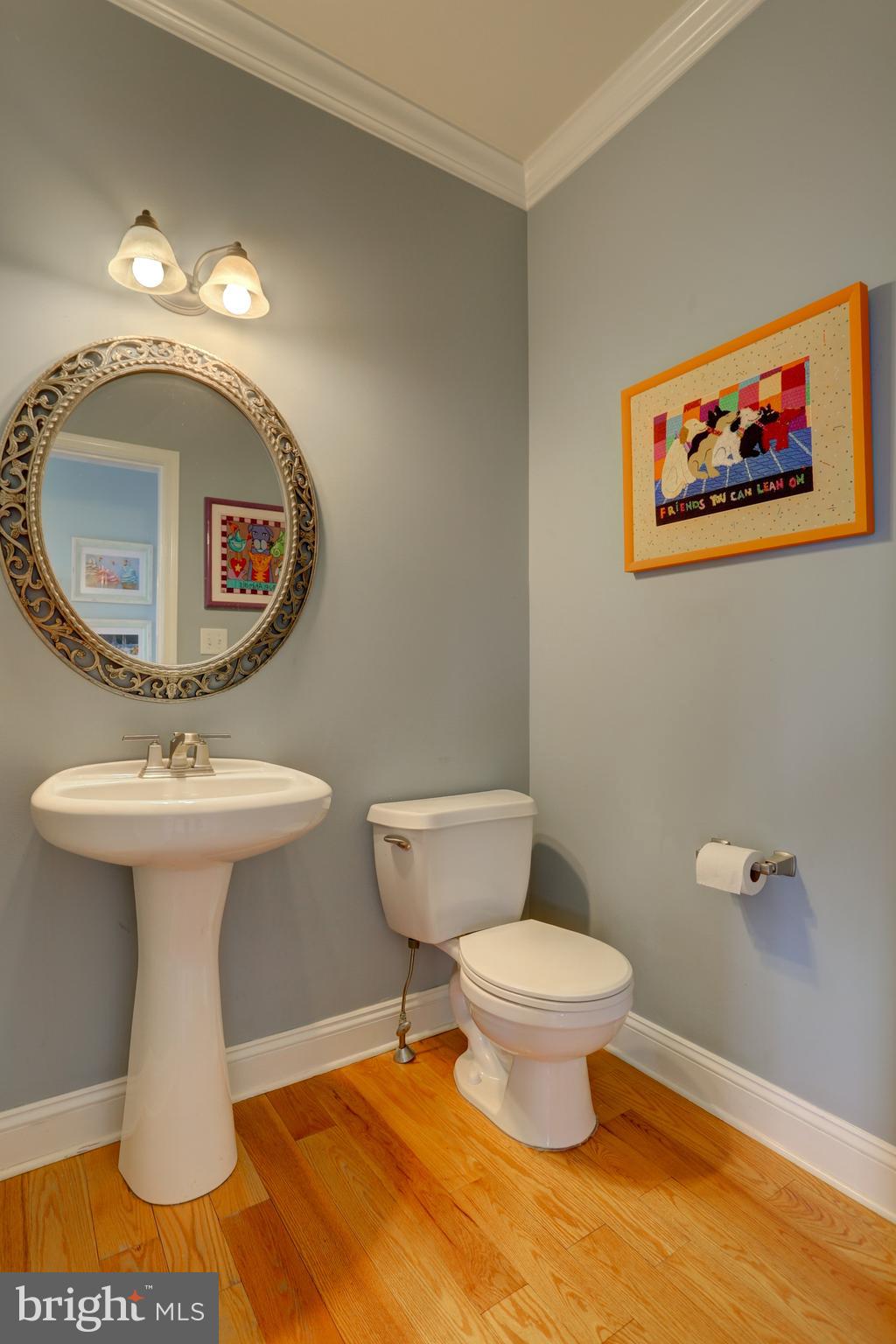 307 Bowyer Lane Lititz, PA 17543 - Photo 8 of 39 Powder Room