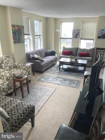a living room with furniture rug and window
